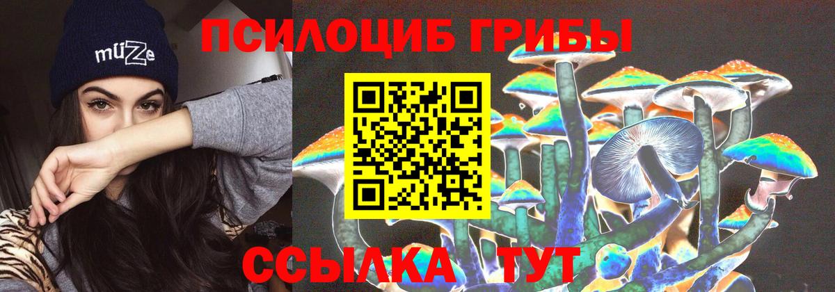 Псилоцибиновые грибы Cubensis Трёхгорный